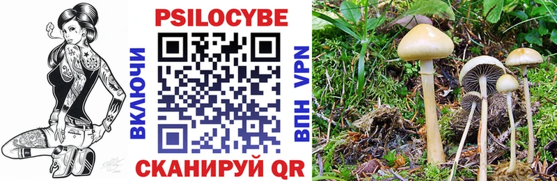 Галлюциногенные грибы ЛСД  Купить закладки  Мглин 