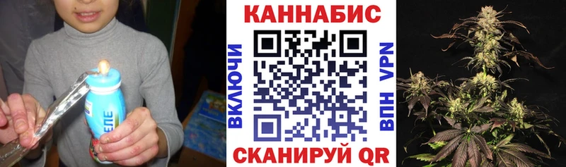 Купить где  Мглин  Каннабис планчик 